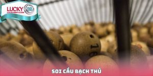 Soi Cầu Bạch Thủ